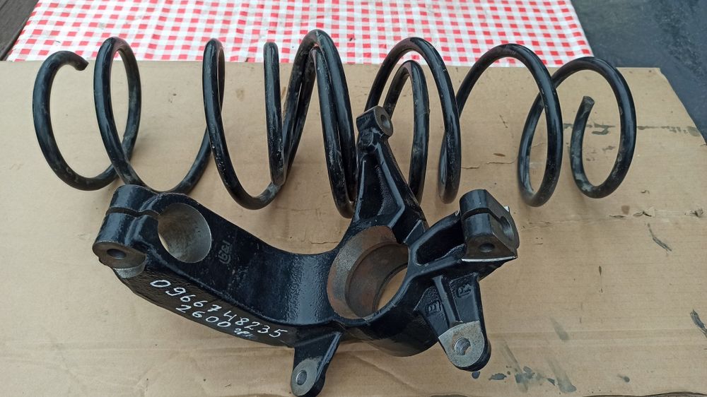 Цапфа до Reno scenik 2