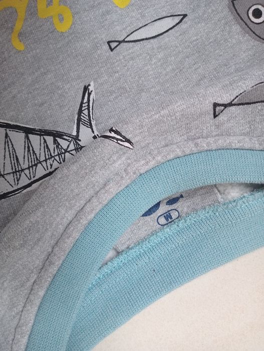 Bluzka damska M shark