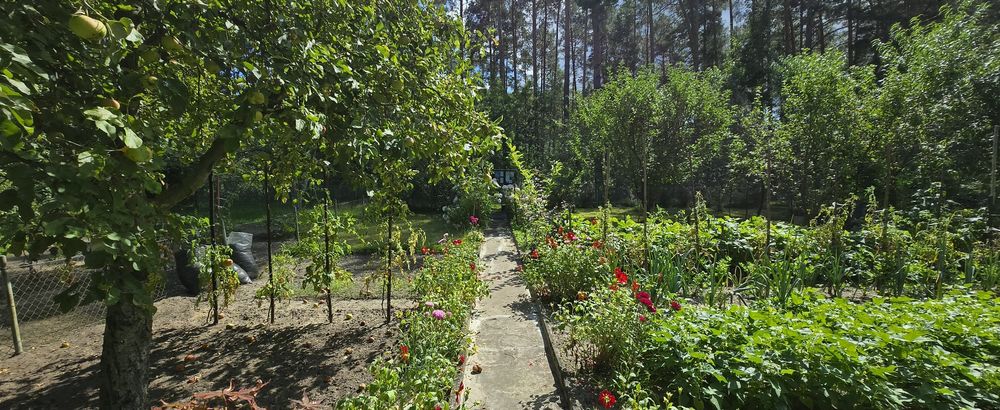 ROD "Zacisze Leśne" Wilkanowo