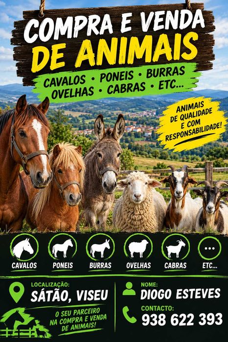 Cavalos poneis burras burros ovelhas cabras etc