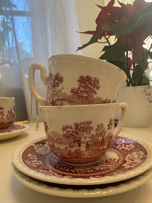 Villeroy boch Rusticana, віллерой бох рустікана, кракелюр, розпродаж