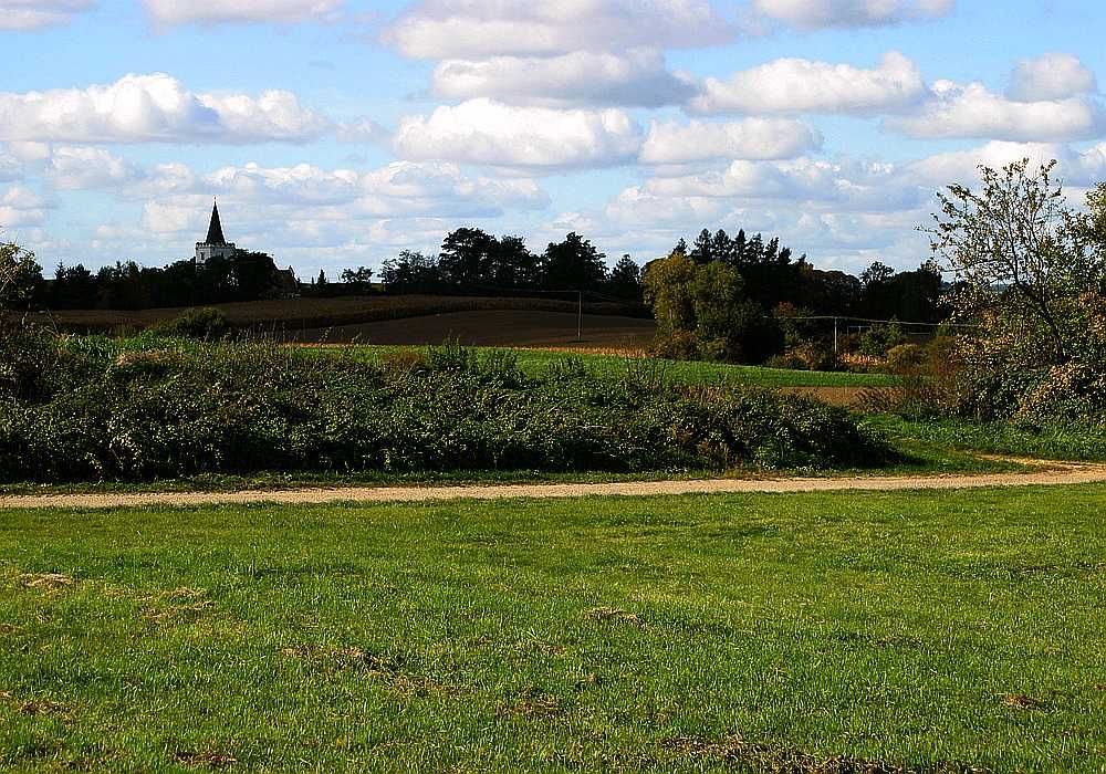 Działka budowlana 40 ar Złotogłowice gmina Nysa
