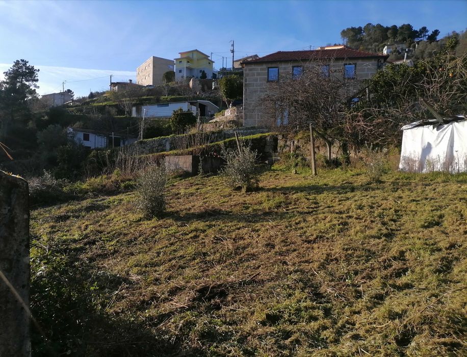 Terreno em Enxames, Santa Cruz do Douro