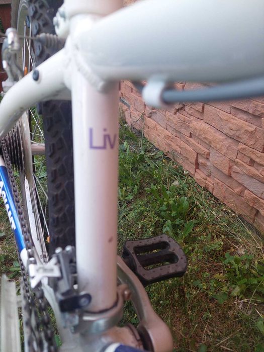 GIANT REVEL JR 24” (oklejony na niebiesko )