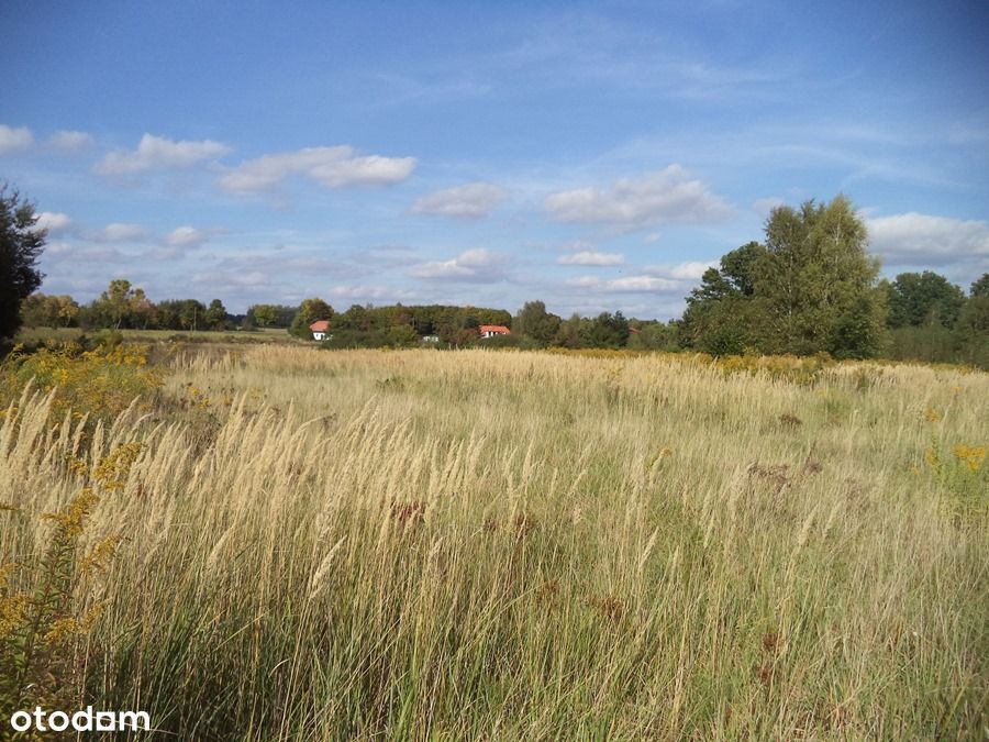 Działka w Lipinkach Łużyckich z warunkami zabudowy