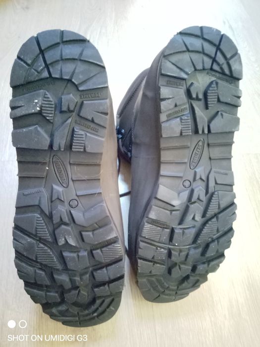 Продам Британські берци