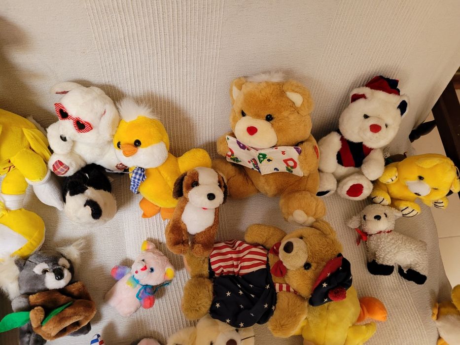 Brinquedos para cães