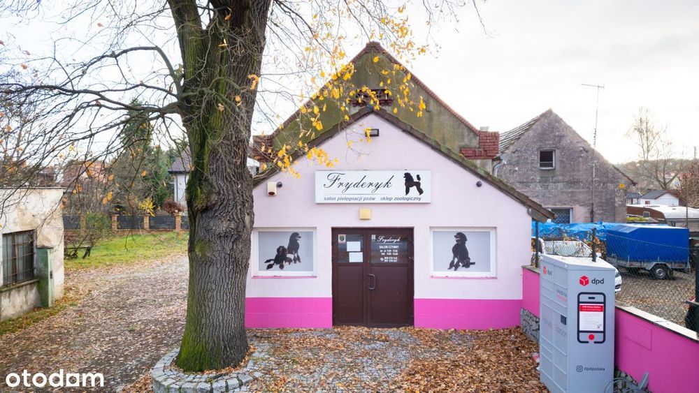 lokal użytkowy o powierzchni 200 m2 - Zawada