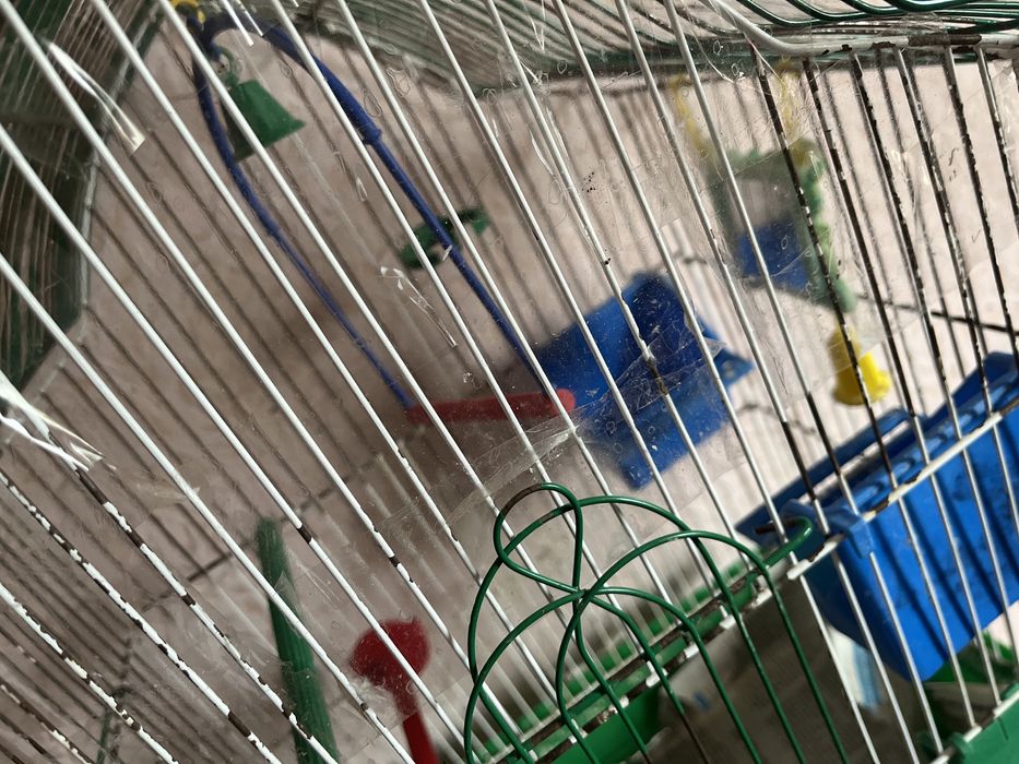 Клітка з аксесуарами для хвилястих папуг, та інших декоративних птахів