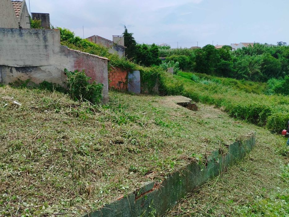 Serviços agro-florestais