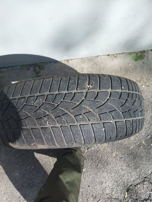 Dunlop winter sport 3D 5 215/65 r16 покрышка