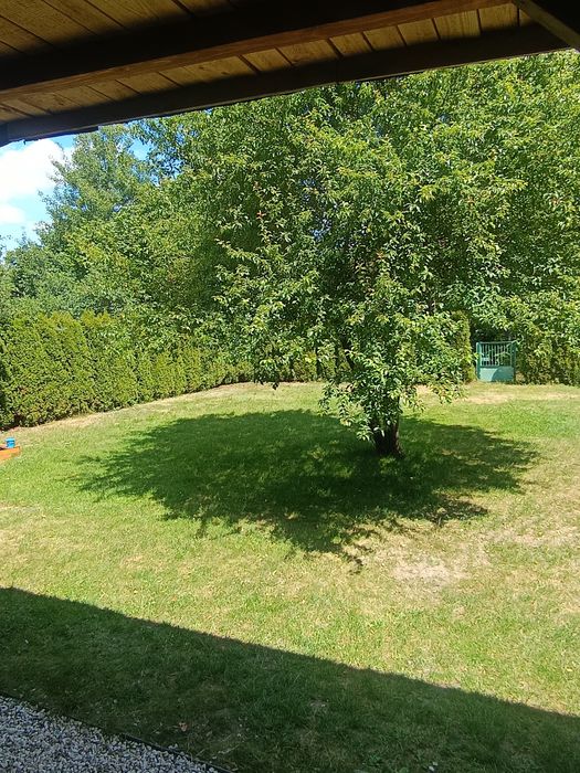 Piękna działka ROD