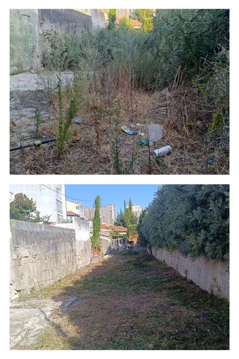 Limpeza terrenos e manutenção jardins