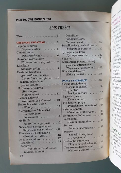 BPD - Kompozycje nie tylko z kwiatów / Przebojowe doniczkowe
