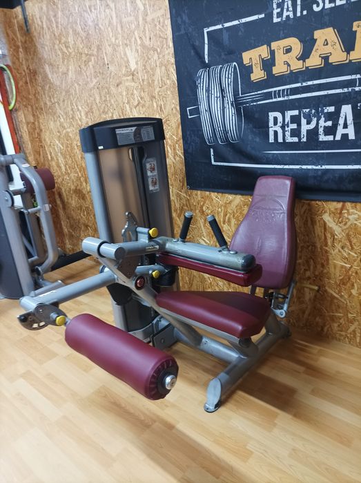 Máquinas de musculação Paramount ( Oito máquinas).