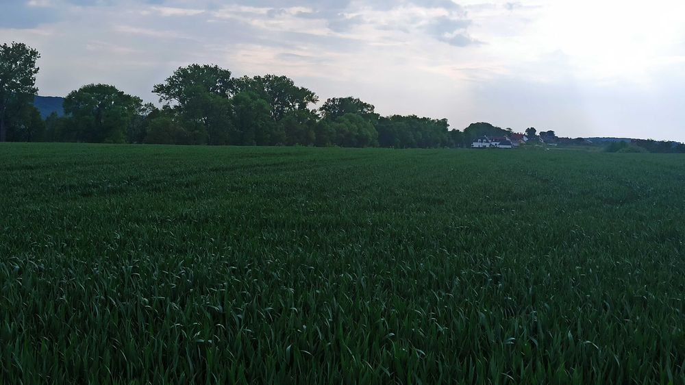 Ділянка 4 Га під котеджне містечко