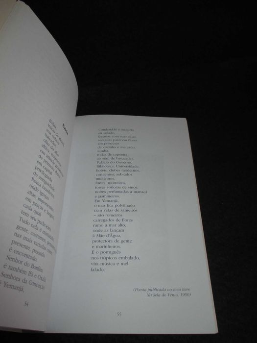 Livro Crónicas Luso-Brasileiras Fernanda Godinho Esteves