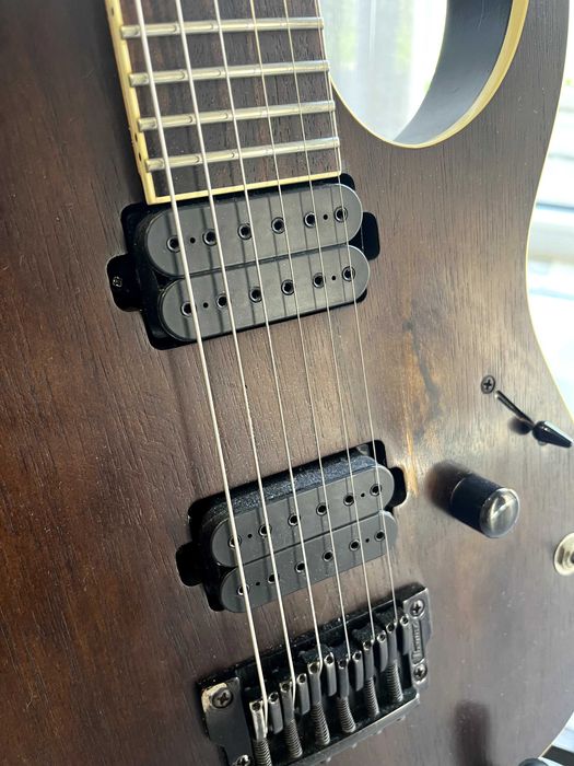 Ibanez RGIR20BFE Iron Label