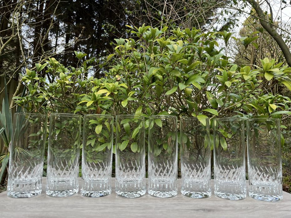 Кришталеві склянки для води Scott Zwiesel
