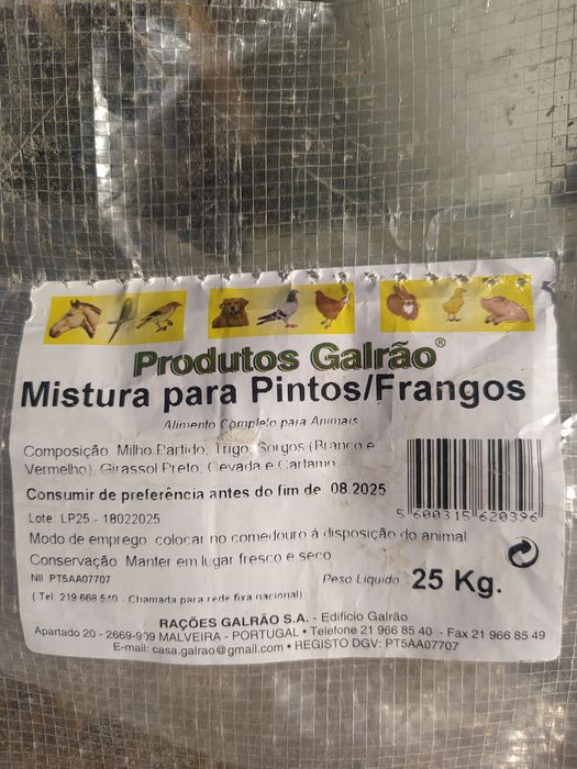 Ovos Galinhas, Ar livre Alimentação saudável