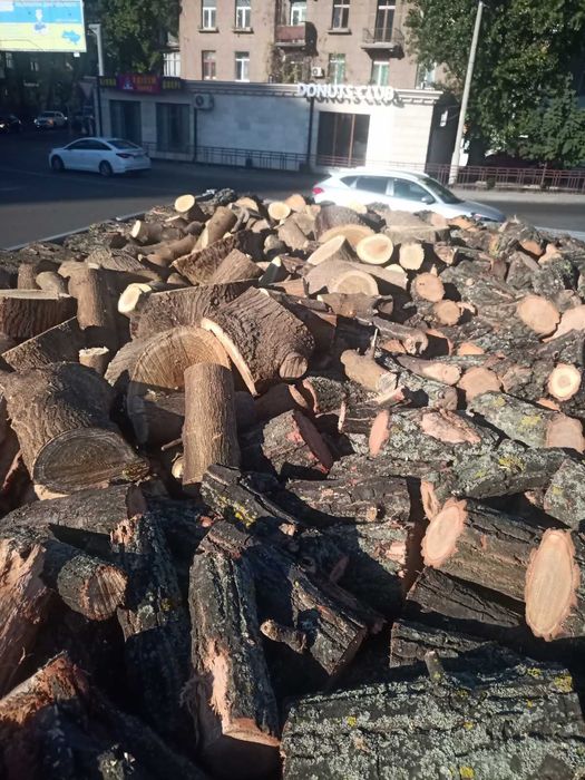 Продам дрова акация