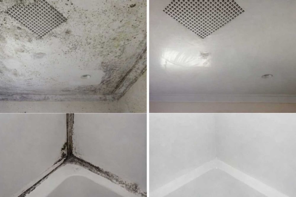 Травля тарганів професійна обробка житла без запаху