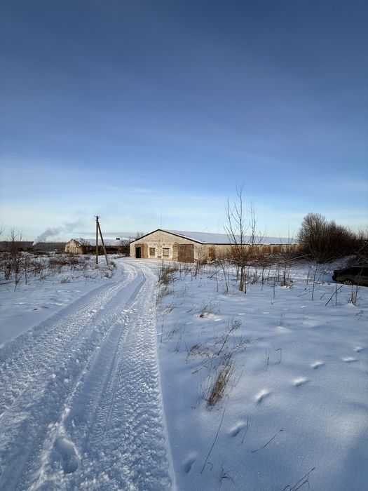 Продам склад, ферма, ангар, приміщення, цех