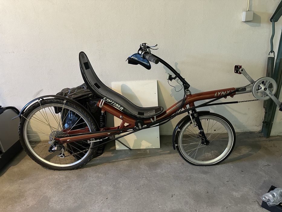 Bicicleta reclinada raro
