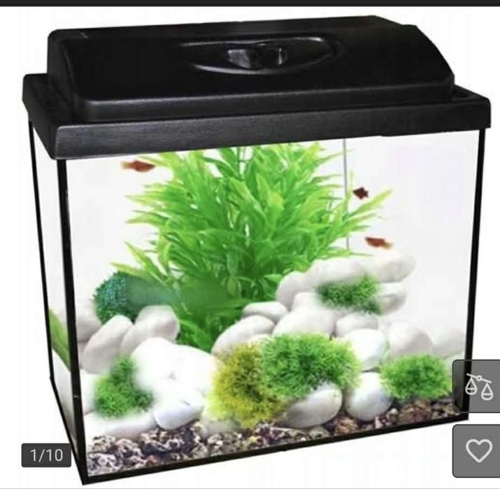 Akwarium 30 l i cały osprzęt