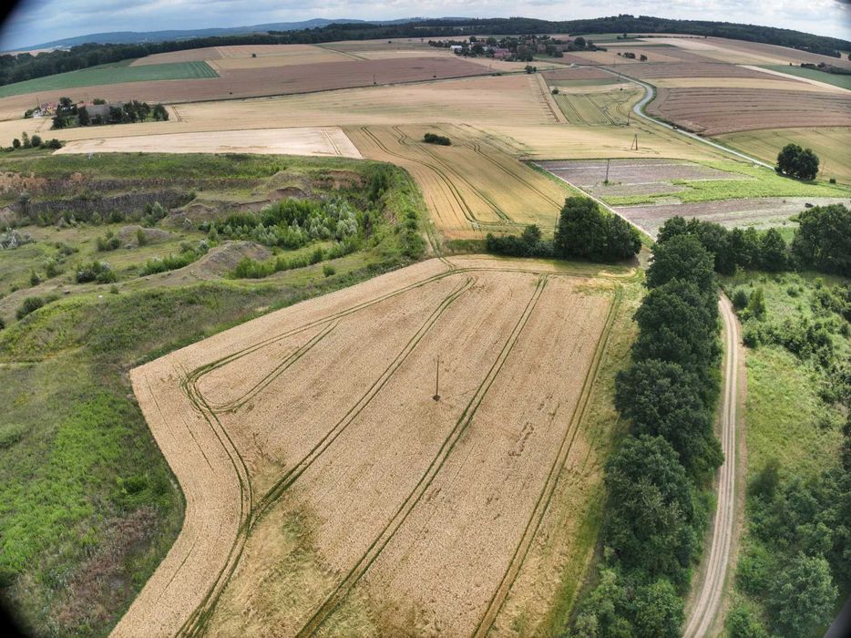 OFERTA SPRZEDAŻY NIERUCHOMOŚCI INWESTYCYJNEJ – JANOWICZKI (DOLNOŚLĄSKIE)