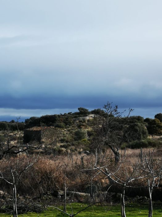Terreno rústico Escalhão