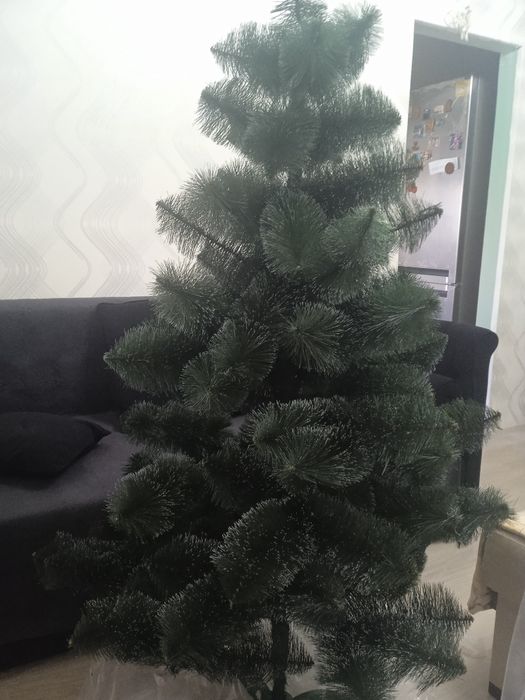 Новогодняя красавица,олх -нет,торг реальный