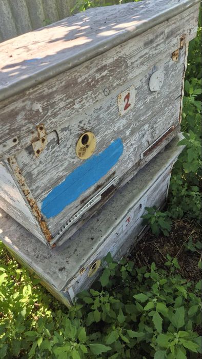Продам вулики лежаки