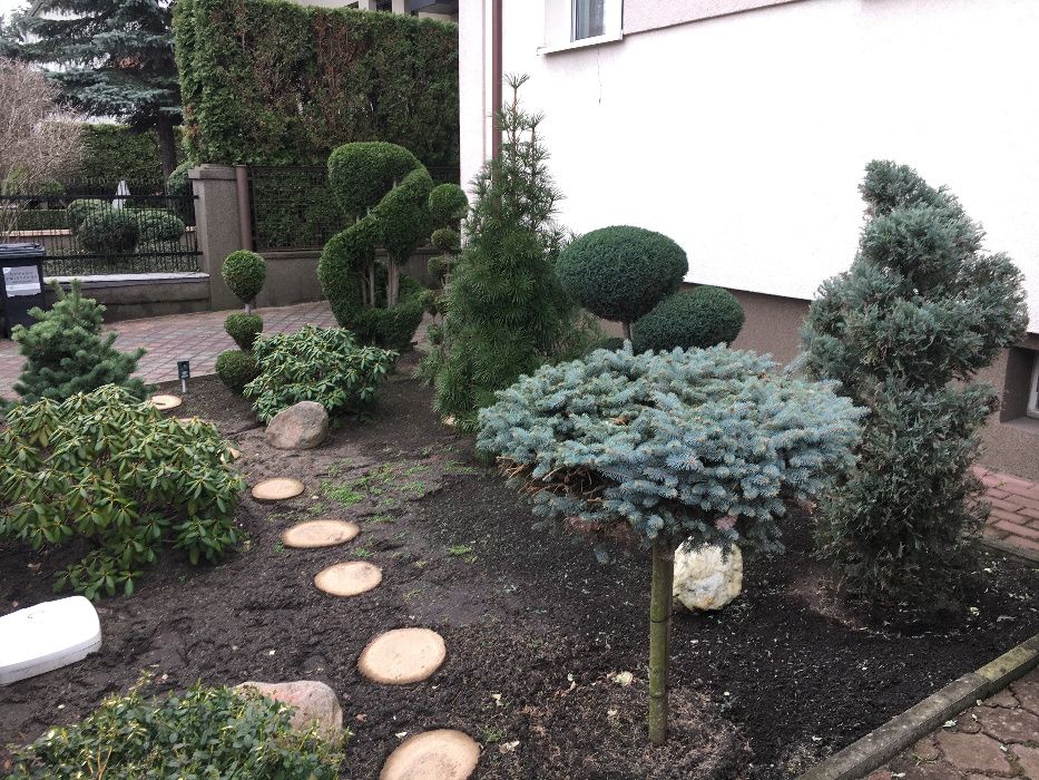 Pielęgnacja ogrodu, usługi ogrodnicze- atrakcyjne ceny!!!