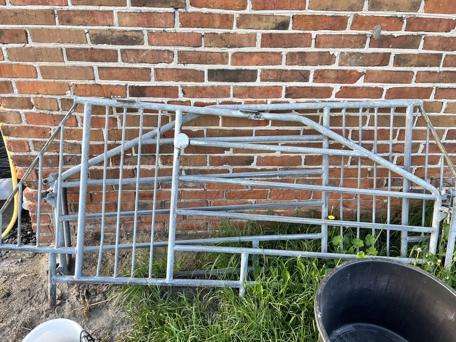 Kojce pojedyńcze , pojedynki dla loch