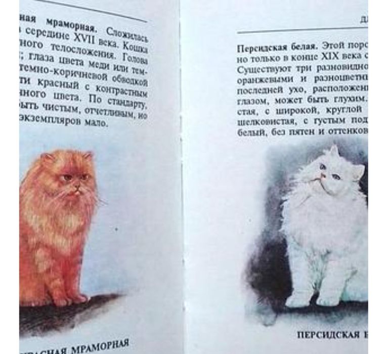 Мини атлас Кошки
