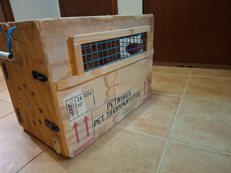 Mala transporte cães ou gatos