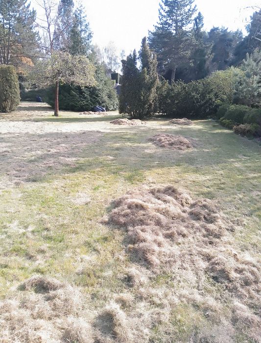 Usługi ogrodnicze