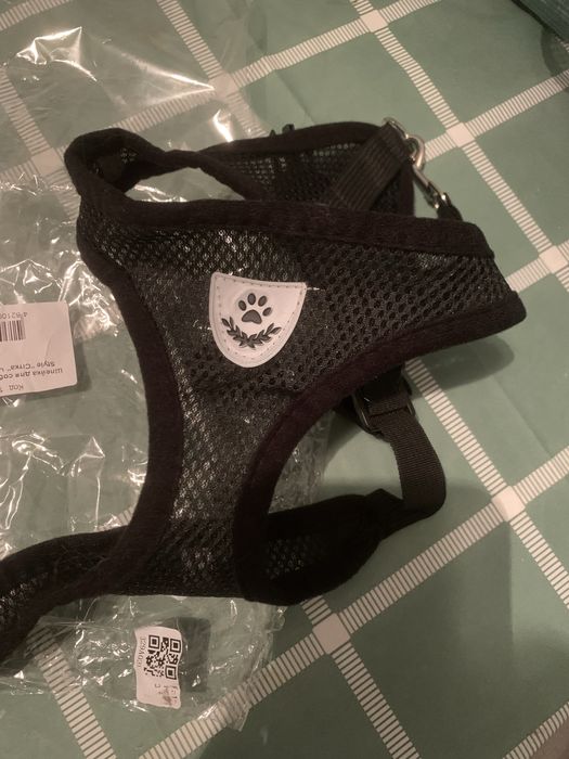 Новая шлейка с поводком для кота