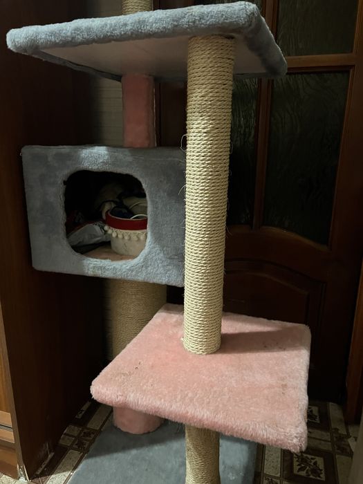 Котячі доміки