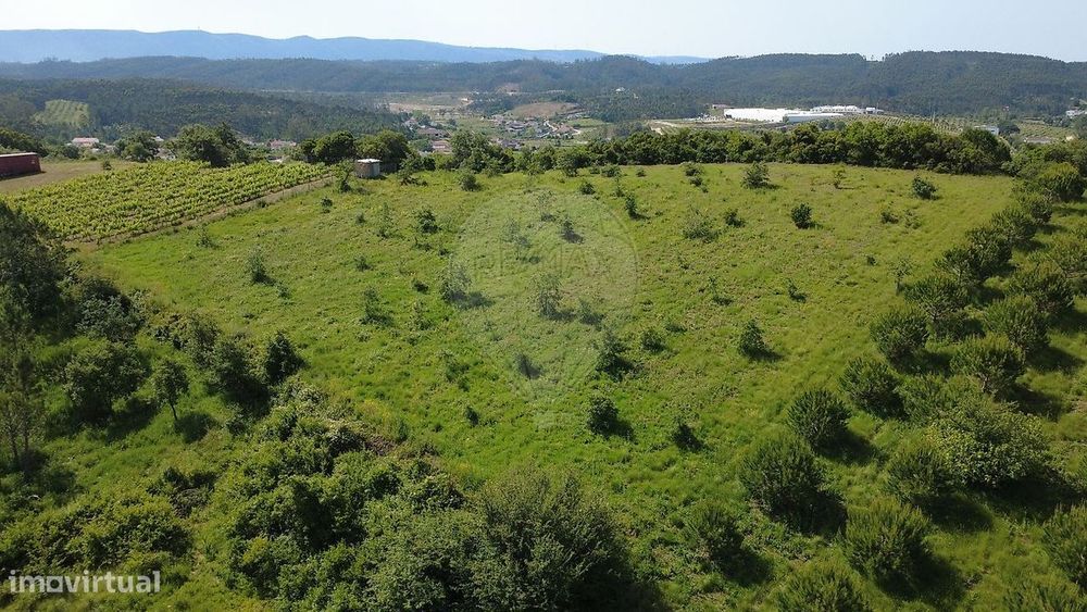 Terreno  para venda