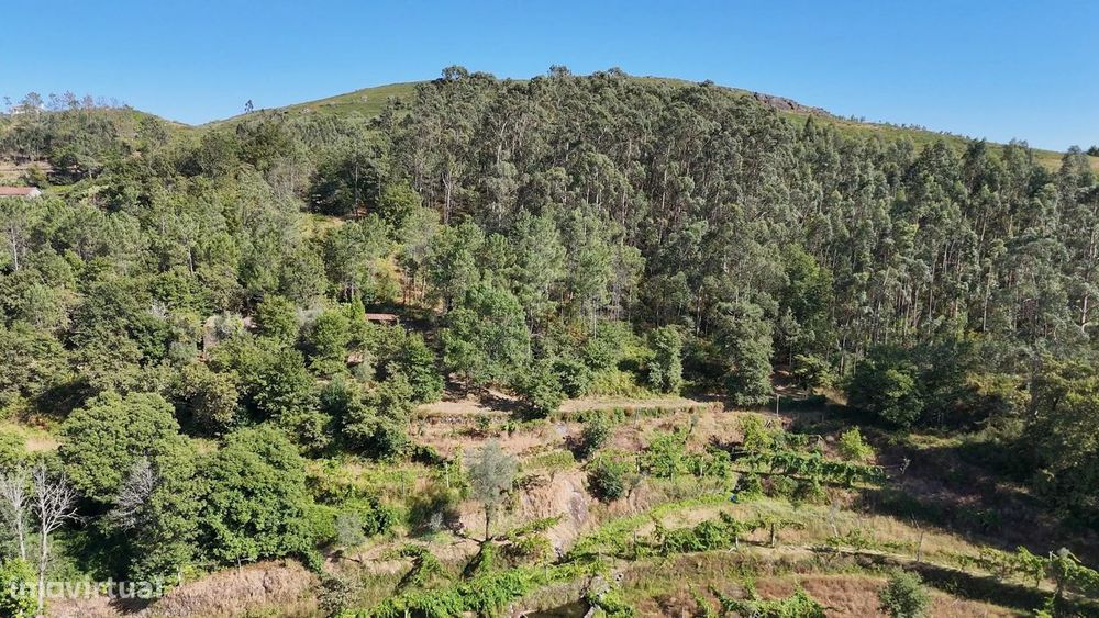 Quinta com 2 Hectares e Casa em Pedra para Recuperar em Gomide, Vila V
