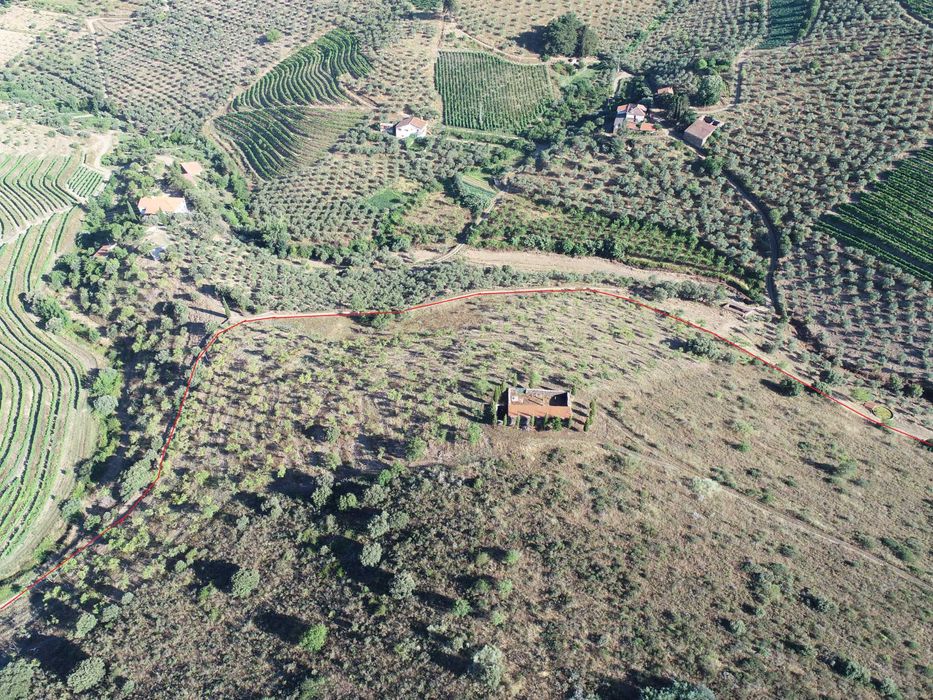 Terreno com 32 hect. com excelente potencial para a produção de vinho.