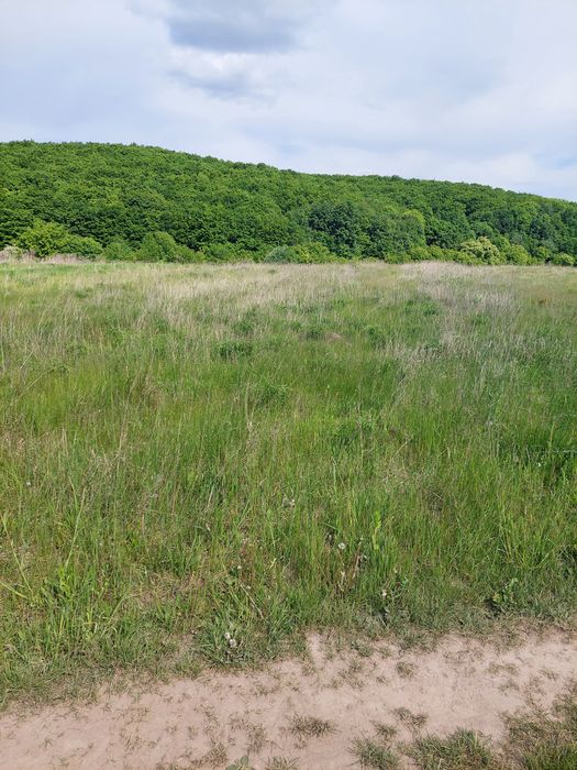 Продам земельну ділянку під забудову