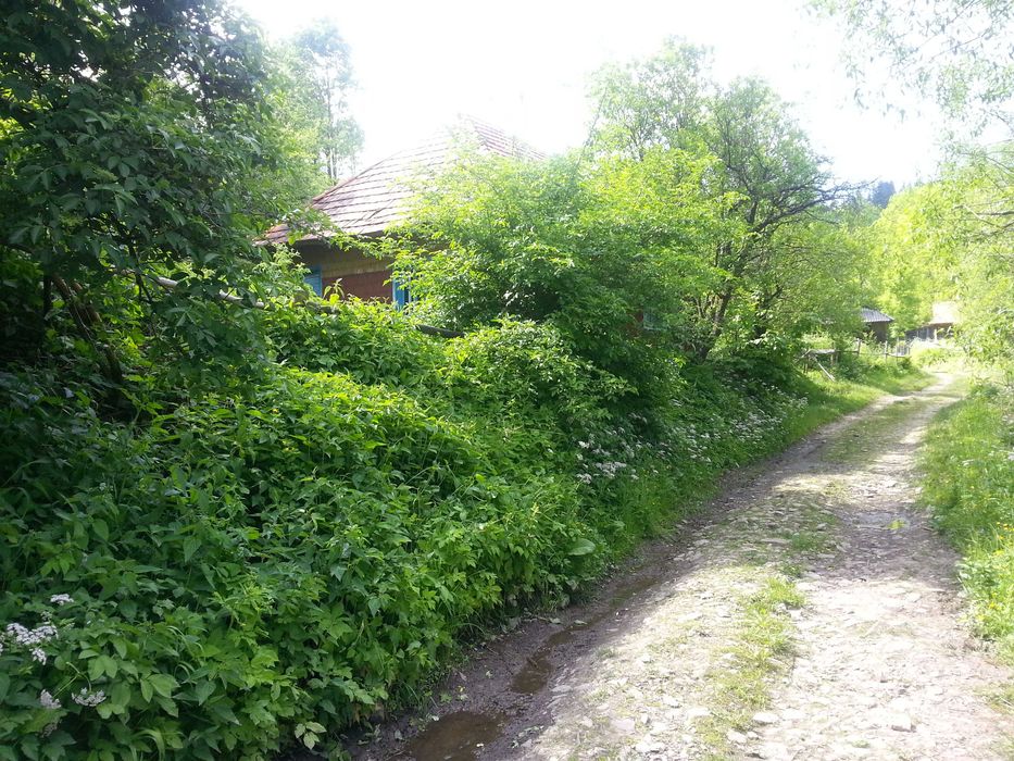 Ділянки під забудову с. Подобовець, с. Пилипець