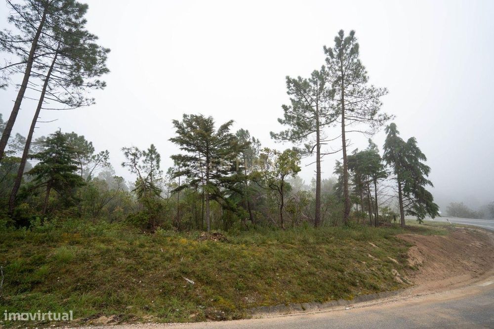 Terreno em Miranda do Corvo- Oportunidade Única por 37.000€