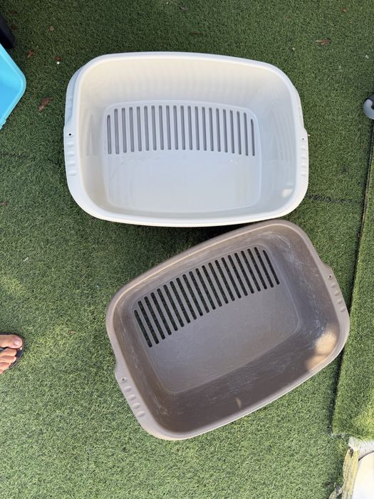 Caixa de areia de gatos