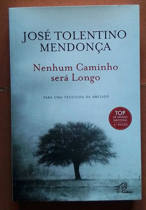 "Nenhum Caminho Será Longo", de José Tolentino Mendonça & "Felizes Para Sempre", de Tiago Cavaco