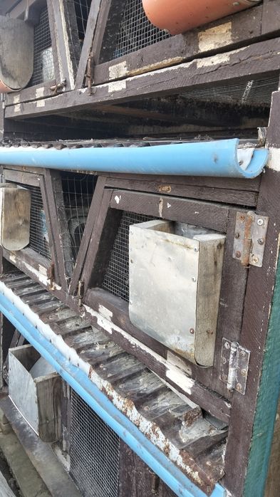 Продам клітки для кроликів