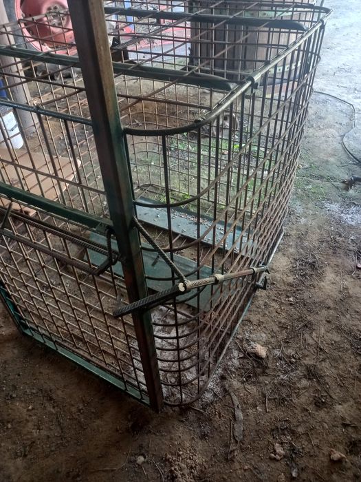 Jaula em ferro para apanhar animais
